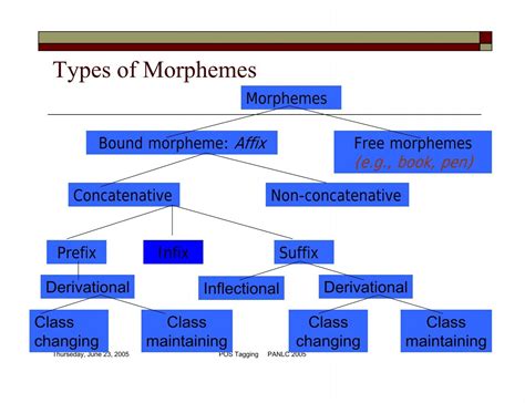 Types of Morphemes Morphe