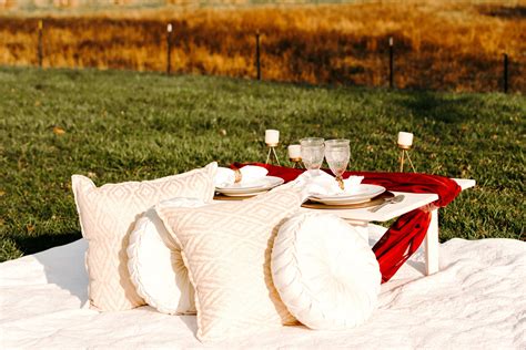 Picnic Packages — Picnic Party Cleveland