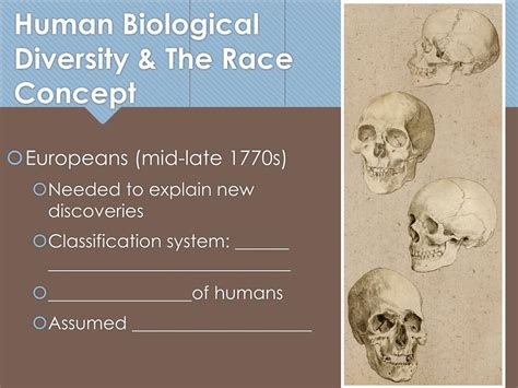 Race 的图像结果