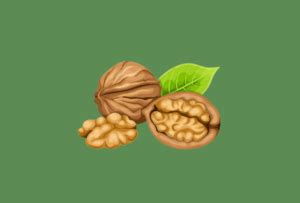 Polinizadores de Nogal - Nogalnature