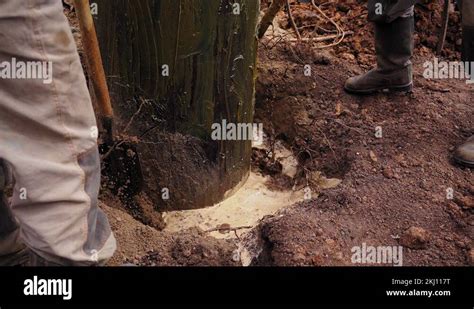 Image result for Service Connection Pit