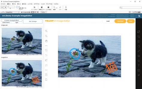 Image result for FileMaker Pro 17 Advanced