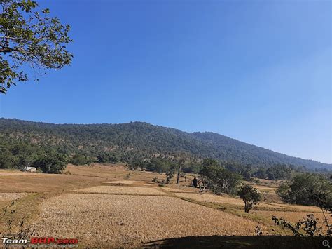 Jungle, Safari, Offroading, Waterfalls and Bonfire: Yes, it is ...