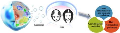 Autoadrogynephilia 的图像结果