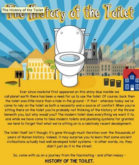 Toilet History Infographics : toilet history infographic