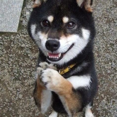 Plz buy my stuff - Depop