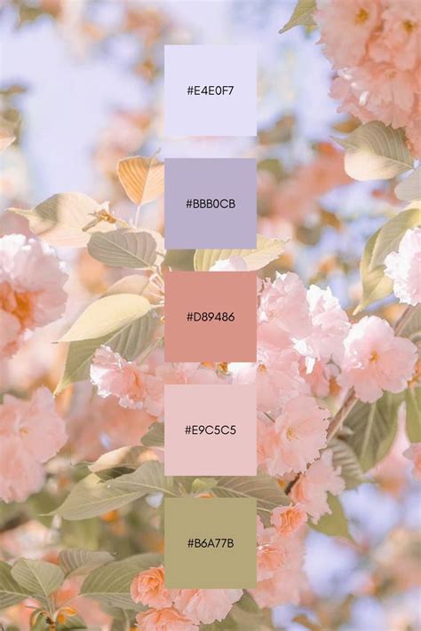 Paint Color Schemes 的图像结果