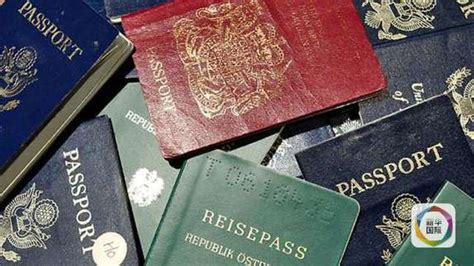 6月1日起，启用新版外国人签证、团体签证和居留许可 | 北晚新视觉