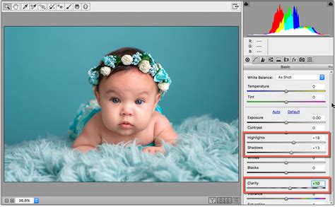 Image result for Using Gradients in Camera Raw