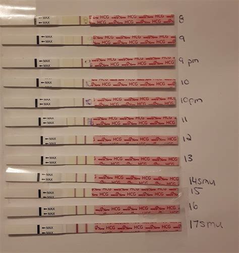 Pregnancy Progression Pics Progression Line Dpo Frer Beta Results ...