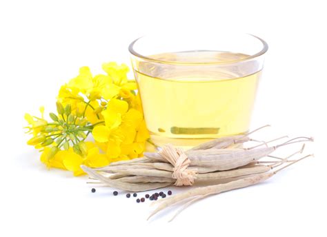 What is Canola? | Learn Canola