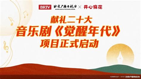 北京卫视电视剧年度盘点_影音娱乐_新浪网