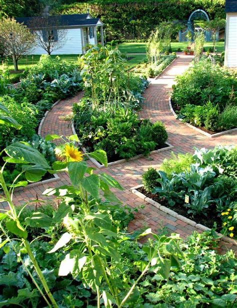 20 Front Yard Vegetable Garden Ideas To Try This Year | SharonSable