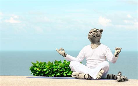 Sri Lanka: Full Immersion. Part 1 - Travellizy