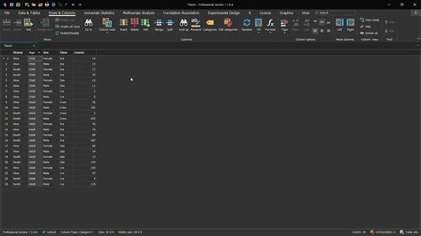 DataTable Example 的图像结果