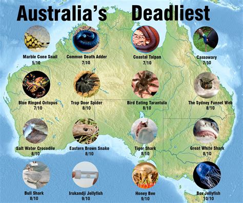 Australia's top 30 most dangerous animals | Australia animals, Deadly ...