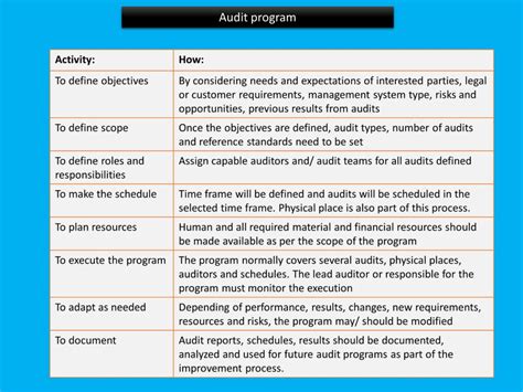 Audit Program 的图像结果