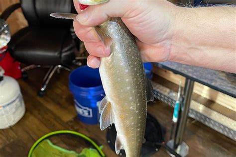 ALASKA GUIDED LUXURY ICE FISHING TOURS (2025) All You Need to Know ...