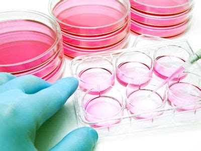 Taqgene Training & Research Institute