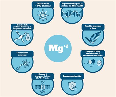 ¿Para qué sirve el magnesio? Beneficios para la salud - Kiroot
