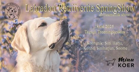 SPRINGSHOW 2025, Tagadi Koerte Treeningkeskus, Saue, 18 April 2025 ...