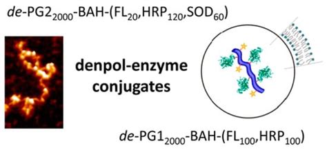 Enzymes in “Green” Synthetic Chemistry: Laccase and Lipase