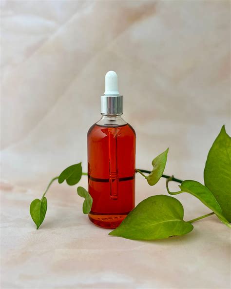 India's First Species-Appropriate Pet Food - Canine India