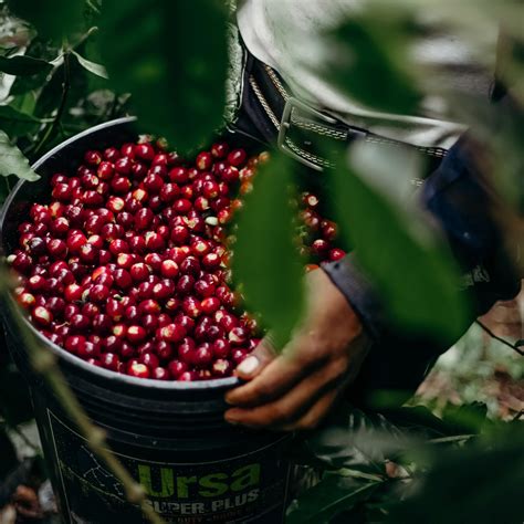 Collections – Reserved India