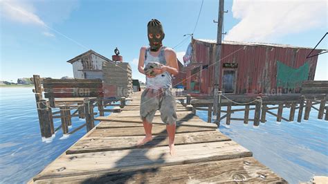 Image result for Prim Rust