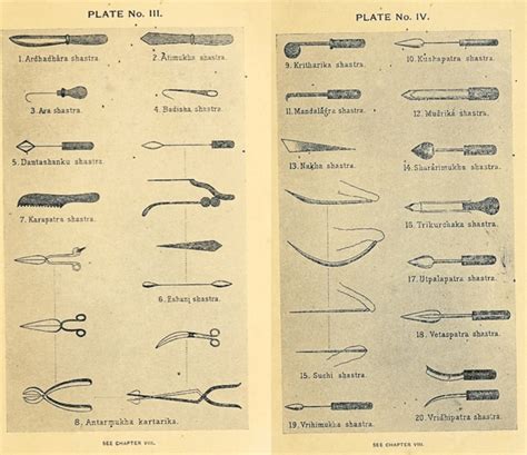 https://cdn.ncbi.nlm.nih.gov/pmc/blobs/6380/11527508/6d7c94ac60e7/cureus-0016-00000070577-i03.jpg