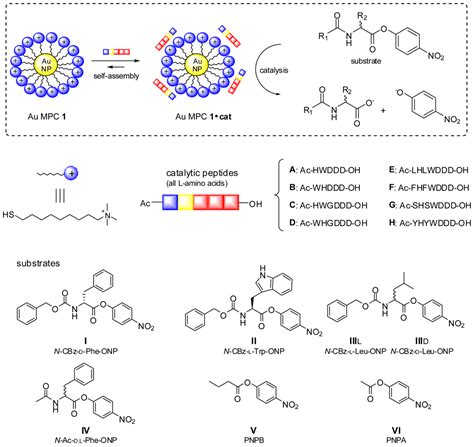 Catalysis of Transesterification Reactions by a Self-Assembled Nanosystem