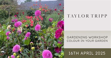 Colour in your Garden Workshop with Nicholas Tripp, Houghton Lodge ...