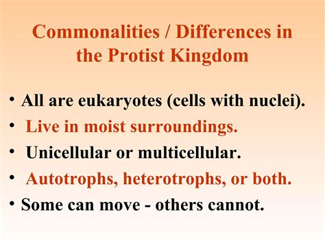 Protist & Fungi | PPT