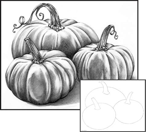 how to draw a pumpkin patch - Jame Mckenna