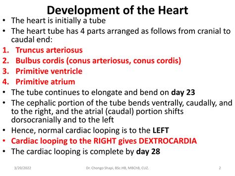 Image result for Heart Development PDF