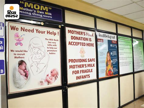 In last 5 years in Vadodara, 9015 pregnant mothers donated 1319 liters ...