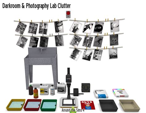 Image result for Sims 4 Photography Mod