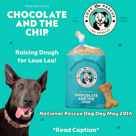 Celebrate National Dog Rescue Day with Love Leo Rescue: A Special Fund ...