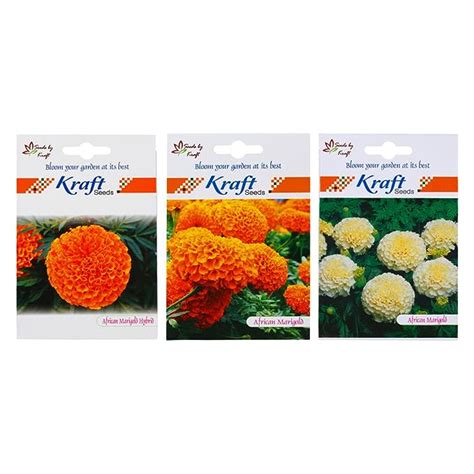 Kraft Seeds 3 in 1 African Marigold Orange and African Marigold Hybrid ...