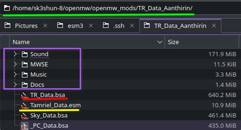 Image result for OpenMW Mods File Path