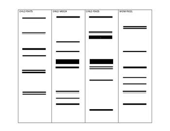 Image result for DNA Fingerprinting Lab Worksheet Printable