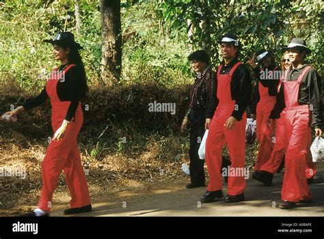 Image result for Goa Band