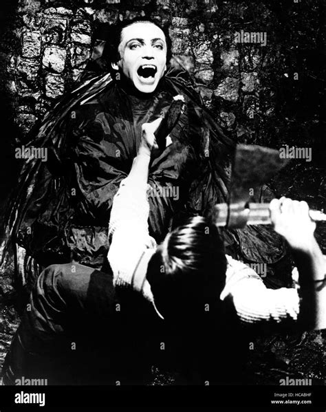 ANDY WARHOL'S DRACULA, (aka DRACULA CERCA SANGUE DI VERGINE...E MORI DI ...