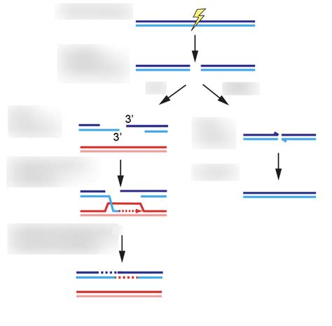 Interesting Genetics 的图像结果