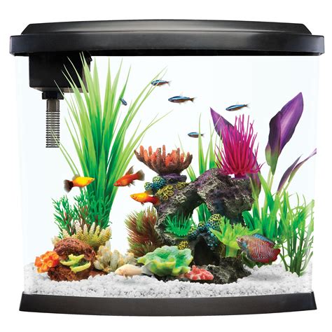 5 Gallon Fish Tank Aquarium Is A 5 Gallon Tank Big Enough For A