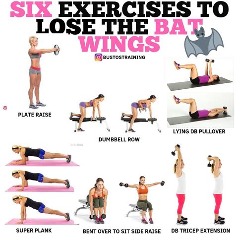 Image result for Bat Wing Arm Workouts