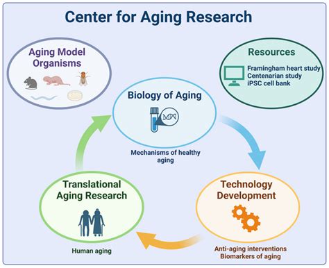 Aging 的图像结果