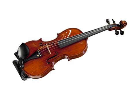 String Instrument 的图像结果