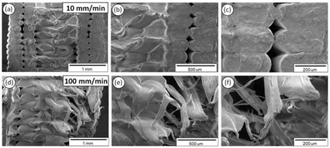 On the Strain Rate Sensitivity of Fused Filament Fabrication (FFF ...