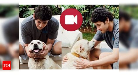 WATCH VIDEO! Mahesh Babu’s playful time with his furry friends | Telugu ...